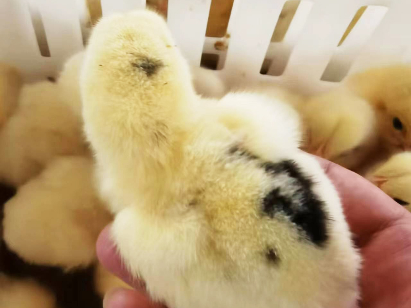 車間實拍