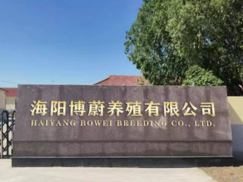 公司展示